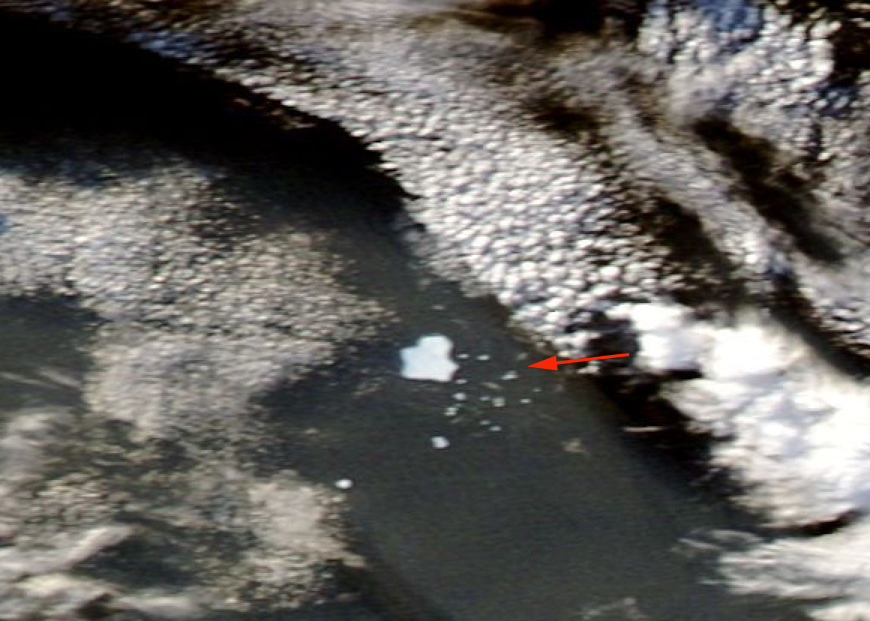 Figura 2: témpanos en el mar de Belligshausen (imagen Terra-MODIS).